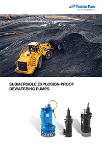 Submersible Explosion-proof Dewatering Pumps