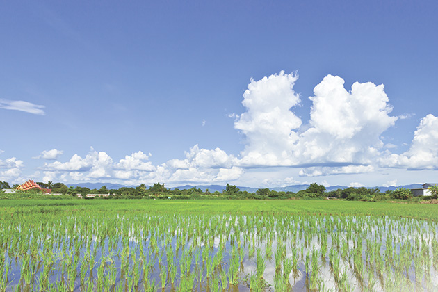 Agriculture and Irrigation