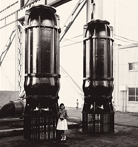 submersible mixed-flow pumps