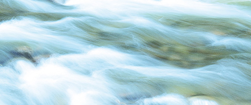 Environment / Quality