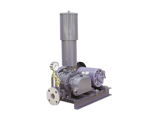 Rotary Air Blowers RS