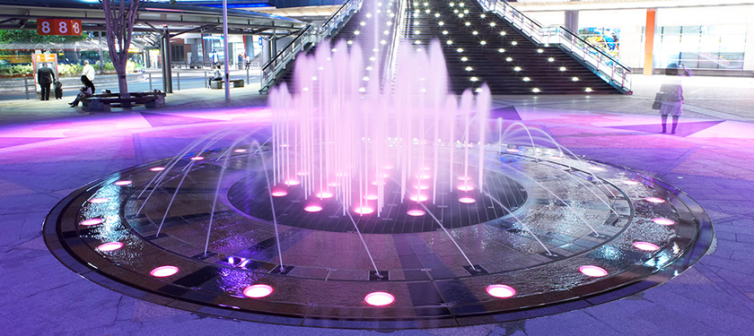 Waterscape / Koi Pond