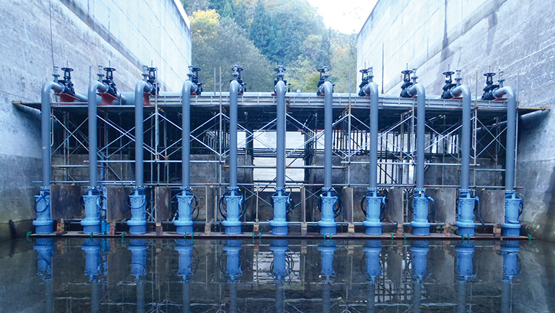 Temporary Bypass during Dam Renovation