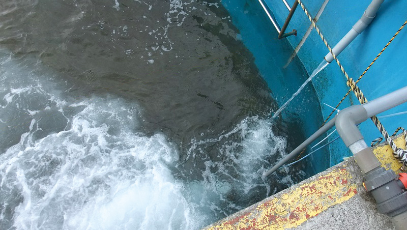 Circulation System for Fish Farm