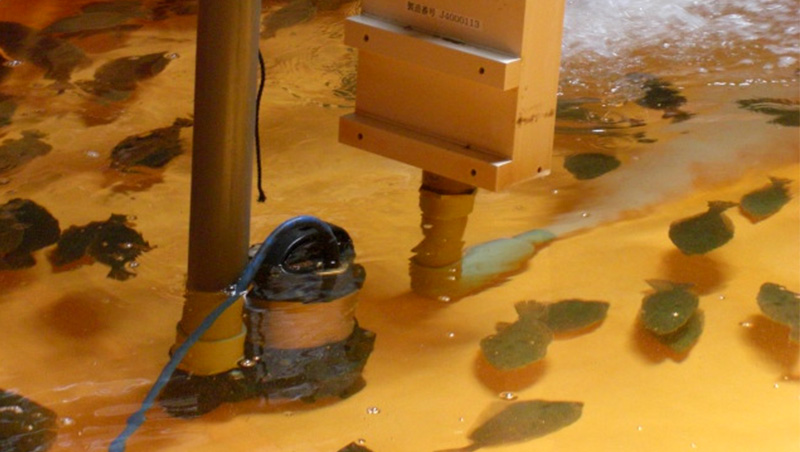 Flounder Farm Circulation System