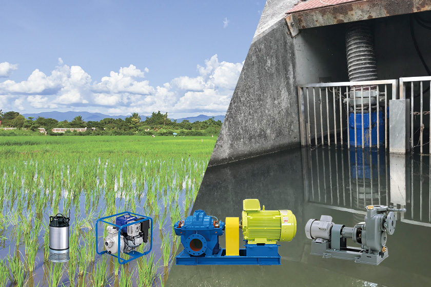 Contributing to the sustainable use of natural resources