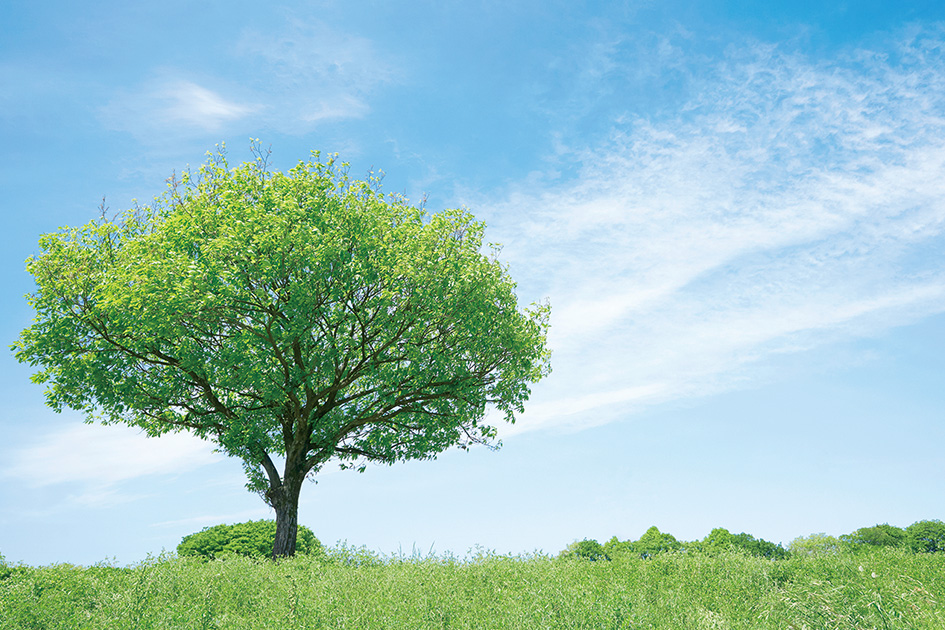 Conversion to clean energy